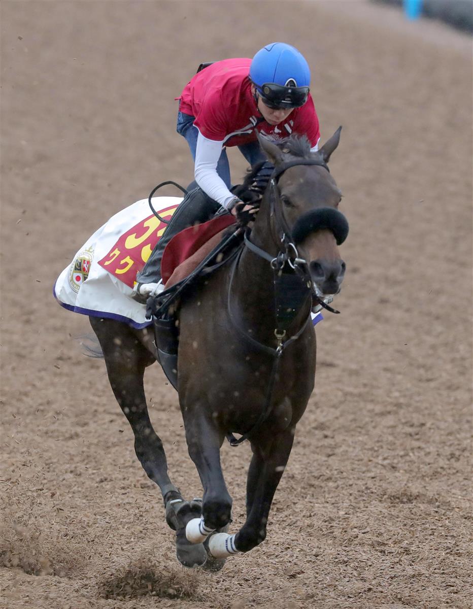 【東西トレセンけいこ総見】オークス｜競馬ニュース｜競馬 ...