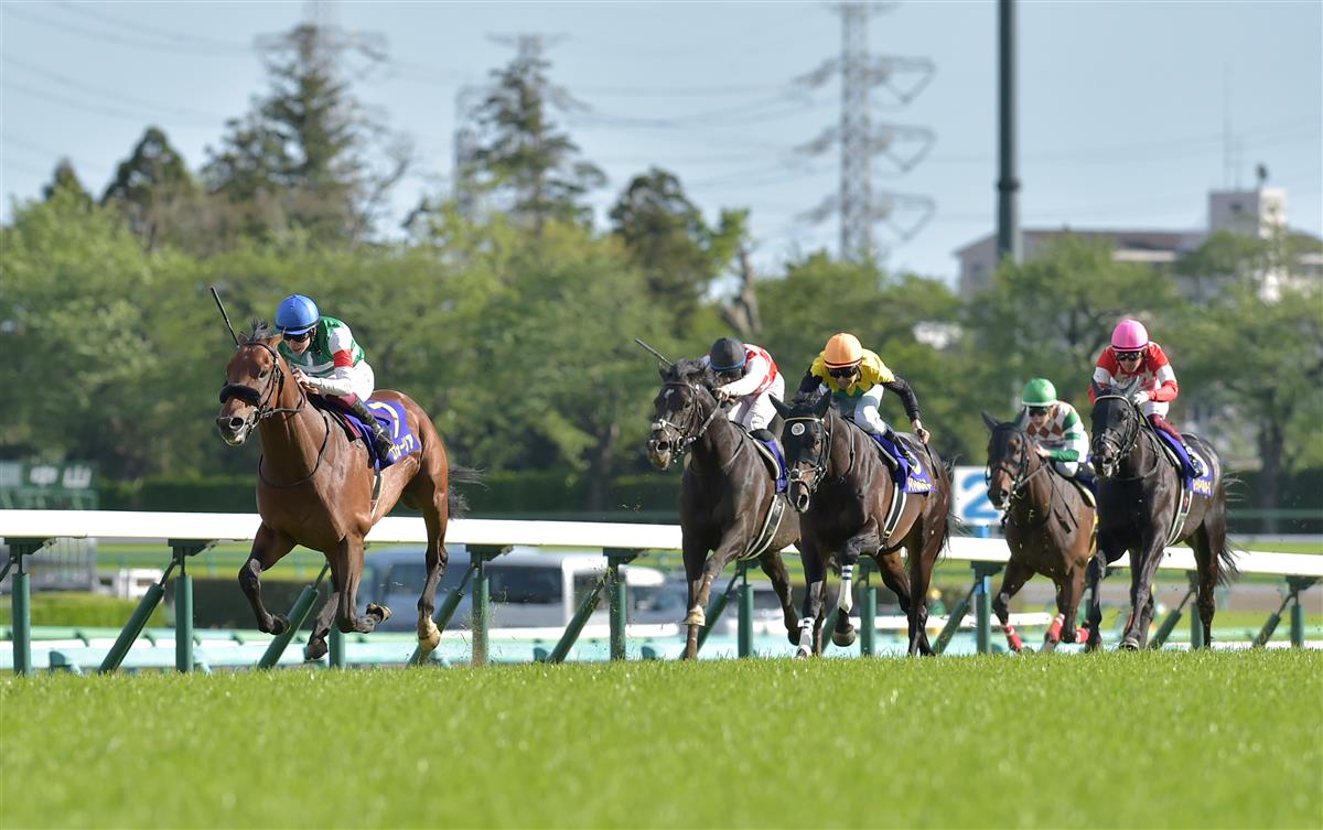 日本ダービー ２０１８年生まれの３歳馬７３９８頭の頂点に立つのは 競馬の祭典の注目点はこちら 競馬ニュース 競馬予想のウマニティ