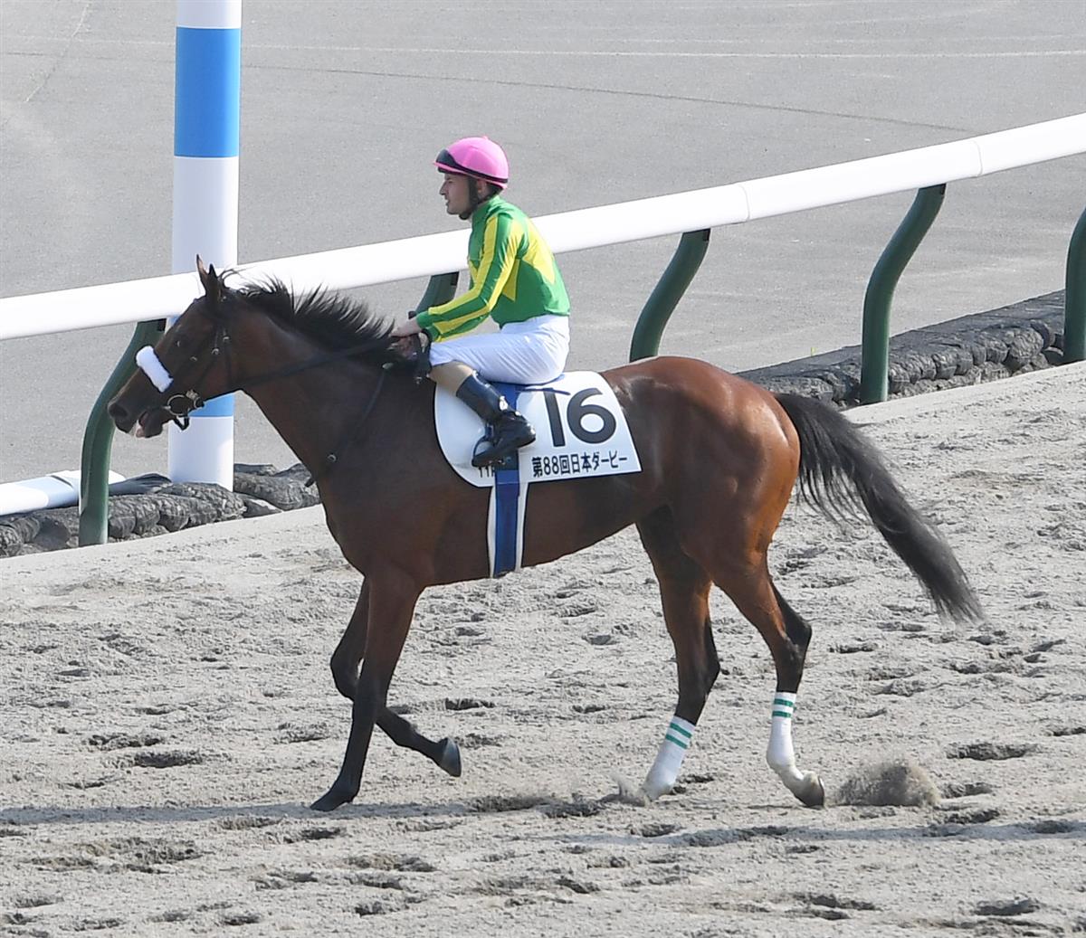 【日本ダービー】牝馬サトノレイナスは粘り欠いて５着