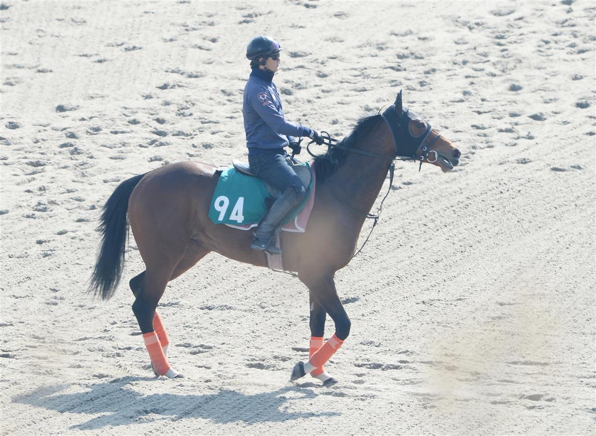 サブライムアンセムが８月１日に新潟でデビュー　福永「牝馬としてはレベルが高い」