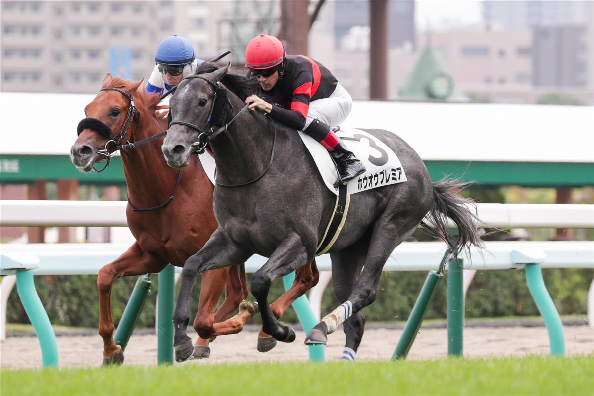 【２歳新馬】札幌５Ｒ　高額馬ホウオウプレミアが快勝デビュー