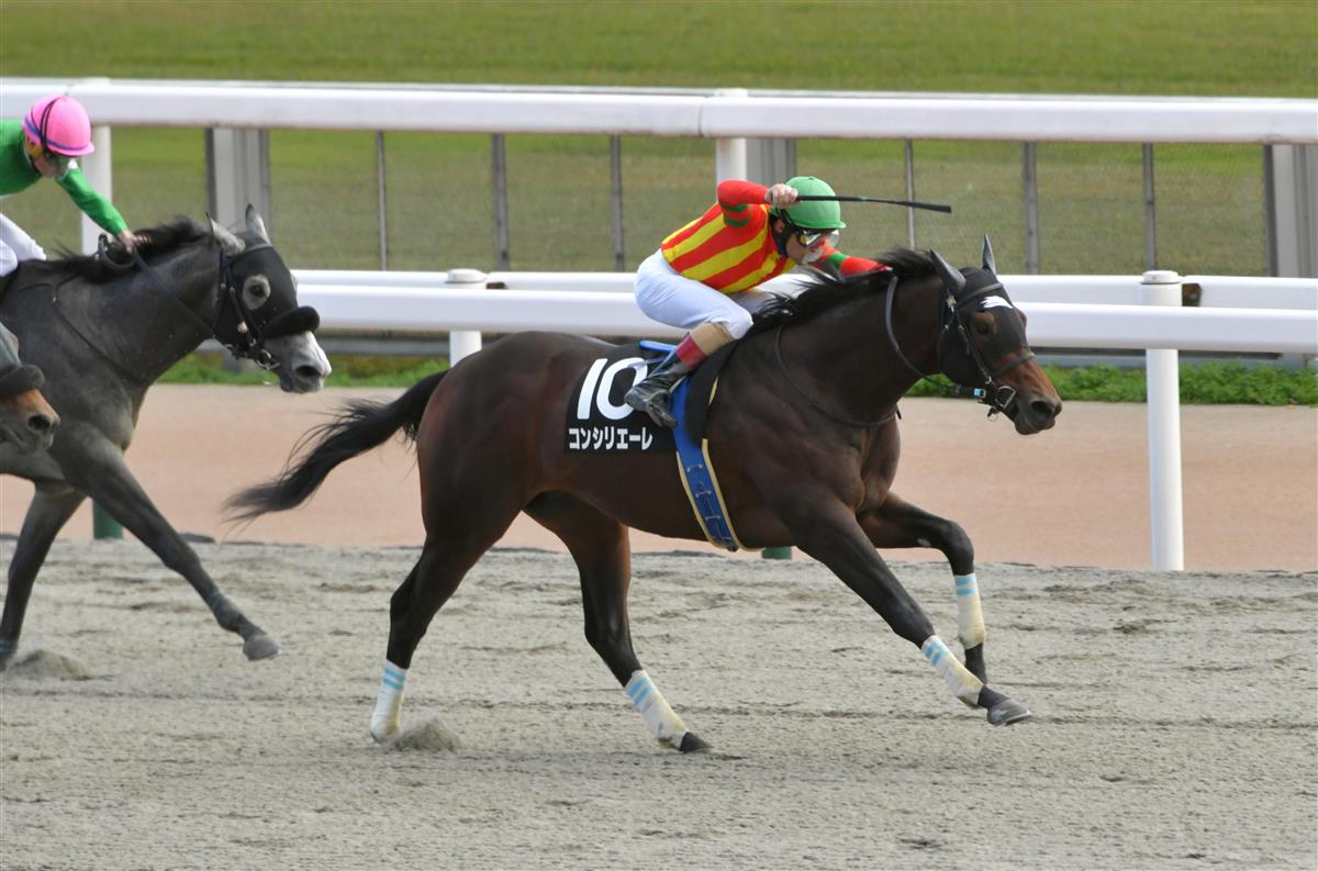 【全日本２歳優駿】ＪＲＡ出走予定馬の発表