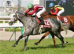 サンケイスポーツ杯阪神牝馬ステークス2009