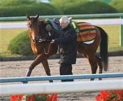 【マイルＣＳ】仏の名トレーナー日本馬を挑発