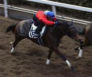 【京都牝馬Ｓ】メンフィス５２秒８「絶好調」