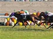 【カシオペアＳ】３歳馬ミヤジタイガが競り勝つ