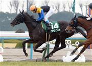 【京都牝馬Ｓ】レース展望