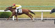 【２歳新馬】京都６Ｒ　スピード満点！タテヤマがＶ