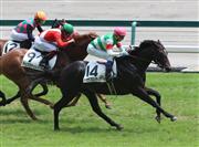【２歳新馬】中京５Ｒ　トゥザフロンティアが追えずの完勝