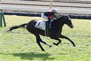 【２歳新馬】東京４Ｒ　リビーリングがマイペースで逃げ切り勝ち　
