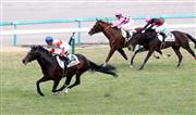 【２歳新馬】阪神６Ｒ　アルアインの全弟ダノンマジェスティが完勝