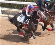 【阪神牝馬Ｓ】リスグラシュー、僚馬と併入１２秒１
