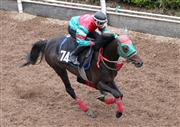【京都新聞杯】アルムフォルツァ、馬なり１２秒５