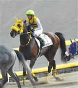 【日本ダービー】１３番人気の重賞２勝馬ニシノデイジーが５着　勝浦「スムーズに競馬ができた」