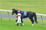 【安田記念】ダノンプレミアム１６着…レース後下馬