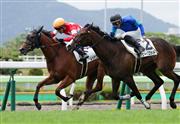 【２歳新馬】函館５Ｒ　１番人気レッドヴェイバーが初陣を飾る！