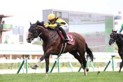 【札幌記念2024】伊吹雅也のピックアップ競馬データ～特選重賞データ分析編