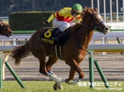 【逃げ馬の作る展開から勝ち馬を見極める】京阪杯2023　内枠・逃げ馬、圧倒的有利の一戦！混戦から抜け出すのは？