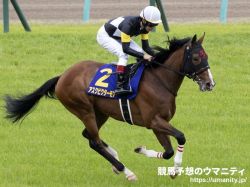 【血統アナリシス】日本ダービー2022　目下4連覇中のディープインパクト、同種牡馬に所縁ある血統背景を持つ馬も活躍