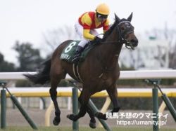 【日本ダービー2024】ジャスティンミラノは+2キロ　出走馬の「調教後の馬体重」