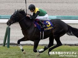【香港ヴァーズ】タイトルホルダーなど日本馬11頭が登録
