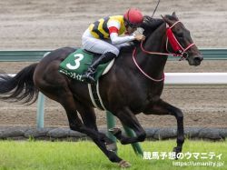 【クイーンエリザベスＳ2023】日本馬の近況（3月29日（水曜））