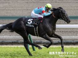 【Ｕ指数的分析の結論！】京都新聞杯2022　U指数トップの無敗馬ブラックブロッサムの信頼度は高い！