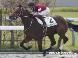 【ケンタッキーダービー2024】日本馬の近況（5月2日（木曜））