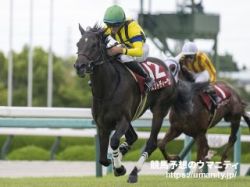 【阪神牝馬Ｓ2024】Ｕ指数的分析の結論！　少頭数の今年は平穏決着とみてU指数上位勢を狙い撃ち！