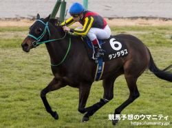 【ROBOTIPの勝率予測】京都牝馬S2022　馬券対象が8頭と混戦模様。劉備の出した結論は？