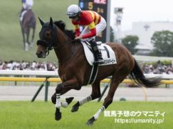 【のら～り勝ち馬予想の金言録】京都記念2024「京都記念はG1をやり直したい馬から」