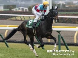 【関屋記念2024】勝ち馬予想の金言録「調教は長い距離を追っている馬を狙え」