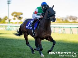 【ROBOTIPの勝率予測】京都記念2023　競走馬の能力重視予測からの馬券対象はわずか3頭！