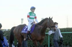 【有馬記念】昨年の覇者エフフォーリアは５着　横山武「自分のやりたい競馬はできました」