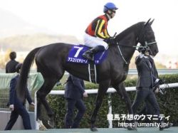 【桜花賞2024】アスコリピチェーノはプラス14キロ　出走馬の「調教後の馬体重」