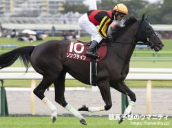 【ブリーダーズカップマイル2023】日本馬の近況（11月1日（水曜））