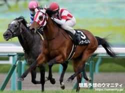 【ROBOTIPの勝率予測】京都金杯2022　ハンデ戦を象徴し9頭が馬券対象馬に。騎手重視の劉備の出した結論は!?