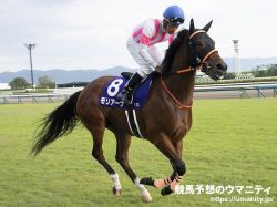 【阪神牝馬Ｓ2024】勝ち馬予想の金言録「阪神牝馬Ｓは気前のいい馬を狙え」