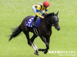 【ROBOTIPの勝率予測】阪神牝馬S2022　騎手重視予測からは前年の覇者デゼルをトップ指名
