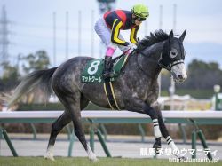 【香港国際競走2023】日本馬の近況（12月9日（土曜））