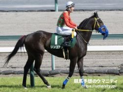 【Ｕ指数的分析の結論！】函館スプリントステークス2021　U指数の爆上げが見込める3歳牝馬と1、2位の古馬で勝負！