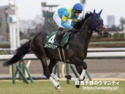 【馬場の有利不利、教えます！】神戸新聞杯2023　土曜日の芝外回り戦は真ん中より外の枠を引き当てた馬が攻勢！スムーズに加速可能な位置をキープできる馬が優位！