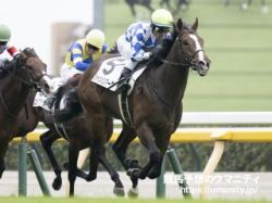 【逃げ馬の作る展開から勝ち馬を見極める】東京スポーツ杯２歳Ｓ2023　能力比較の難しい一戦! 末脚を活かし、混戦を断つのは?