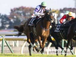 【重賞データ分析】京都牝馬Ｓ2023　5項目チェックで絞られた3頭の中からルチェカリーナを最上位に