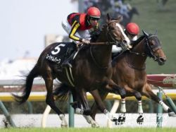 【大阪杯2024】のら～り勝ち馬予想の金言録「大阪杯は以降名を馳せる馬を狙え」
