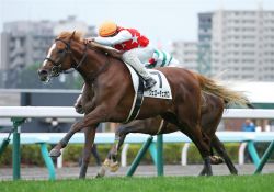 【Ｕ指数的分析の結論！】京成杯2021　馬券妙味のあるU指数上位馬と新馬戦快勝の人気馬で勝負！