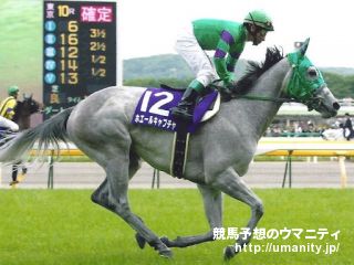 １５日美浦でナカヤマフェスタの甥など６頭の２歳馬がゲート合格