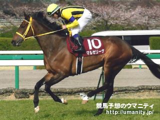 母は桜花賞馬マルセリーナ　シュタールヴィントが１５日東京でデビュー