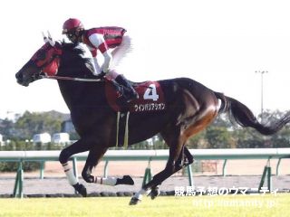 【３歳新馬】中京４Ｒ　バリコノユメがハナ差勝利