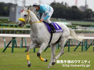 １２日美浦で米ＧⅠ勝ちカレドニアロードの娘など３０頭の２歳馬がゲート合格